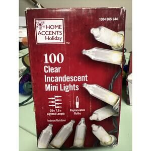 Home Accents 100 Count Clear Mini 20 FT String Lights Indoor Outdoor Green Wire